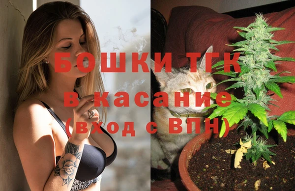 индика Алексин