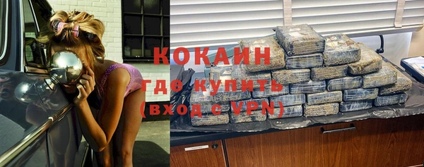 spice Алзамай