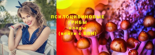 прущий лед Абаза