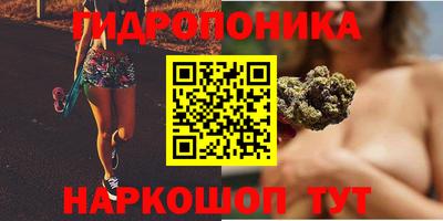 стафф Бузулук