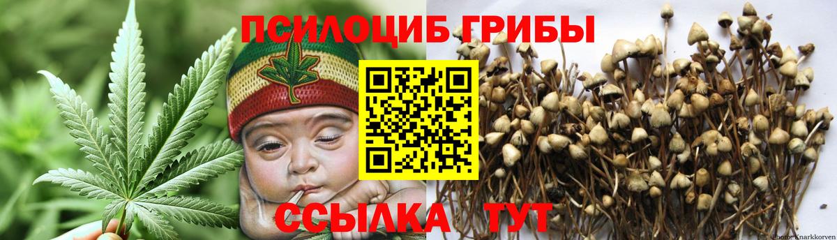 Галлюциногенные грибы Psilocybe Зерноград